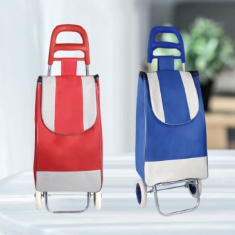 (Blossom) ���� ����īƮ ����ĳ���� 1P