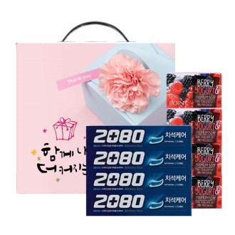 �ְ� ����Ʈ �������Ʈ �� 80g + 2080 ġ���ɾ� ġ�� ������Ʈ
