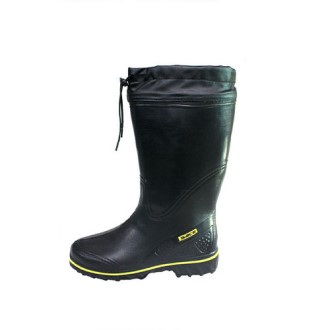 EVA ī�� ���� ���ѹ�� ��ȭ